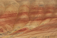 Painted Hill stripes