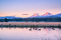 Black Butte Ranch - Morning at the Pond