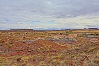 Petrified Forest