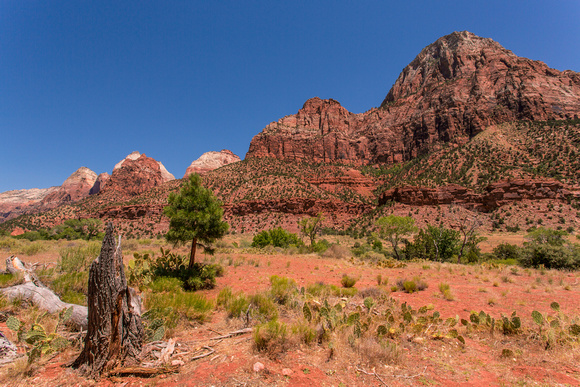 Mountains along the North Fork of the Virgin River