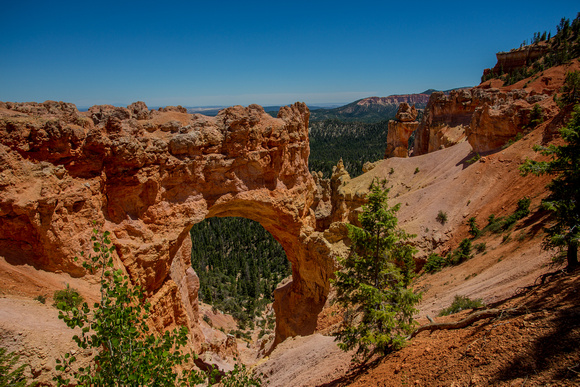 Arch Rock in Bryce Canyon