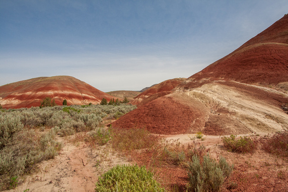 On the Road to the Painted Hills