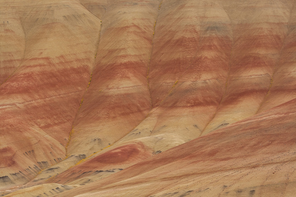 Painted Hill stripes
