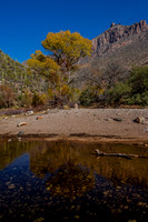 Sabino Canyon - Fall Reflections